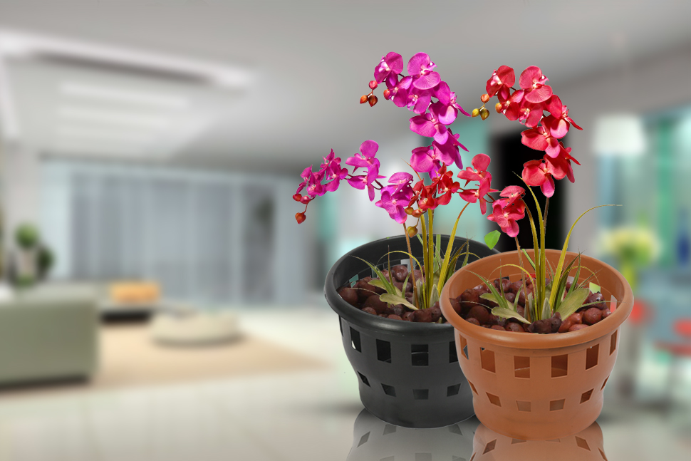 Latest Products Image