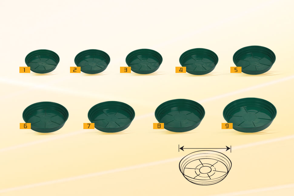 Latest Products Image